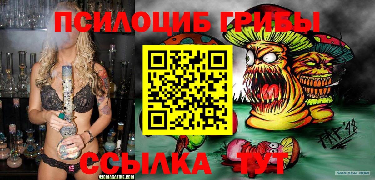 Псилоцибиновые грибы прущие грибы Шадринск