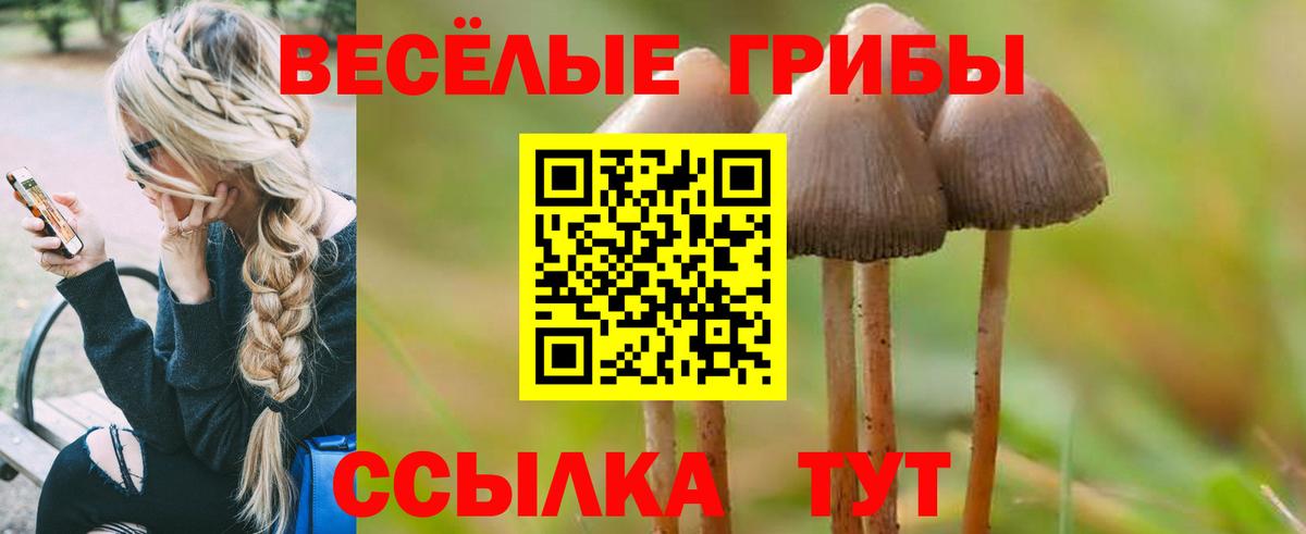 Шадринск  Галлюциногенные грибы MAGIC MUSHROOMS  Вход с VPN 